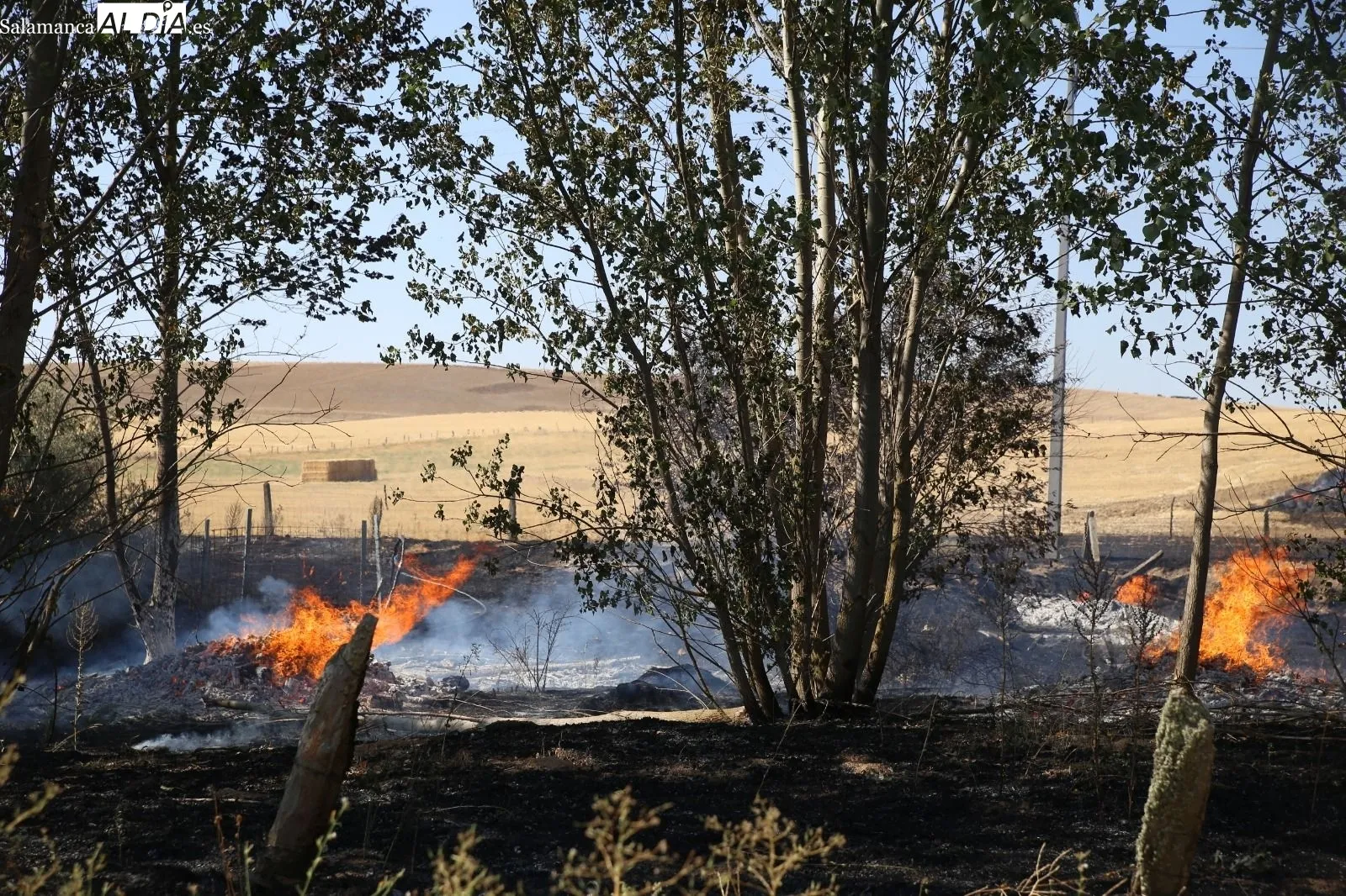 Foto 3 - Extinguido un peligroso incendio con varios focos en la carretera de Aldeaseca de Alba