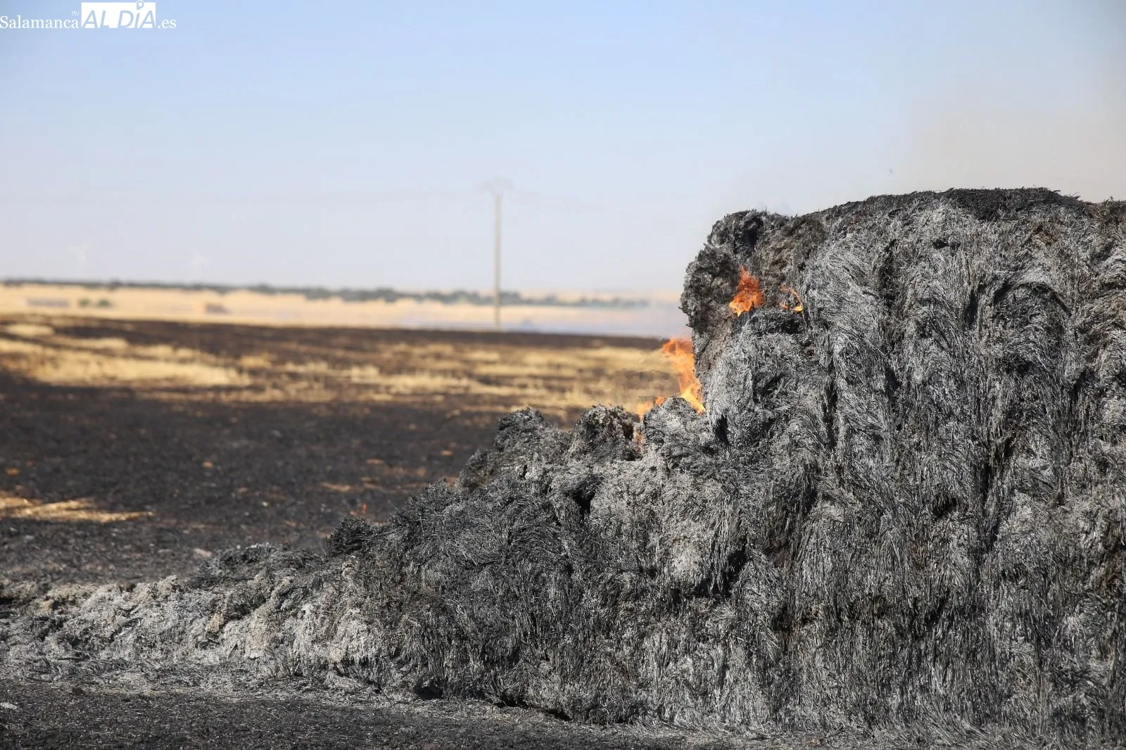 Foto 2 - Extinguido un peligroso incendio con varios focos en la carretera de Aldeaseca de Alba