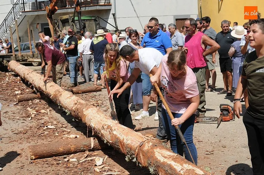 Izado del pino en Villasrrubias/ Fotos: Adrián y Sergio MArtín