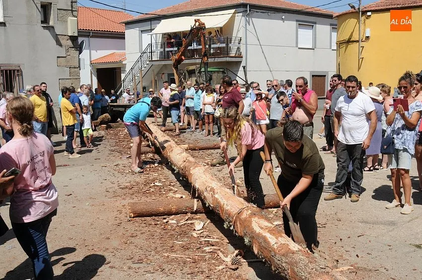 Izado del pino en Villasrrubias/ Fotos: Adrián y Sergio MArtín