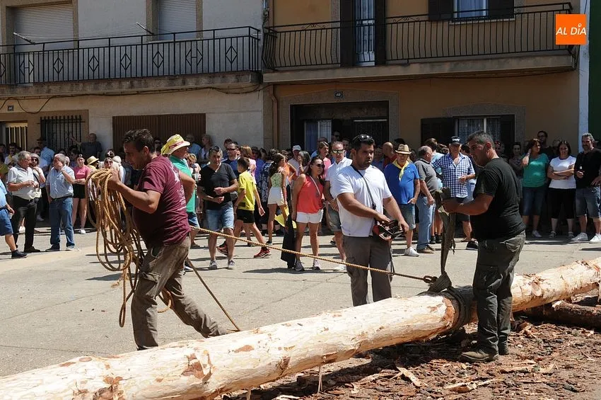 Izado del pino en Villasrrubias/ Fotos: Adrián y Sergio MArtín