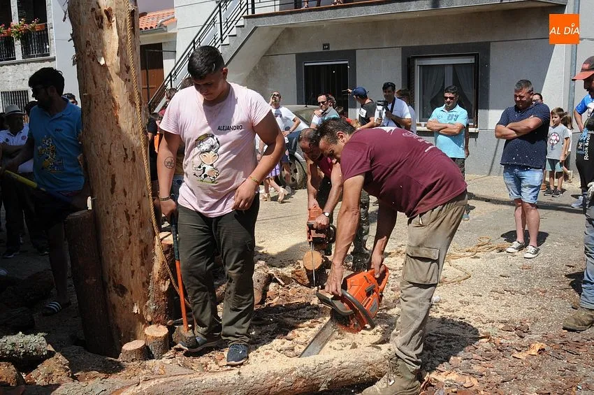 Izado del pino en Villasrrubias/ Fotos: Adrián y Sergio MArtín