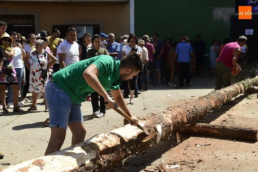 Izado del pino en Villasrrubias/ Fotos: Adrián y Sergio MArtín