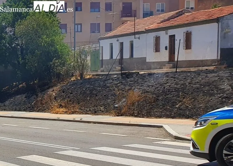 Efectos de este pequeño incendio de rastrojos junto a calle Río Pisuerga, en el barrio de Capuchinos