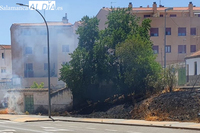 Efectos de este pequeño incendio de rastrojos junto a calle Río Pisuerga, en el barrio de Capuchinos