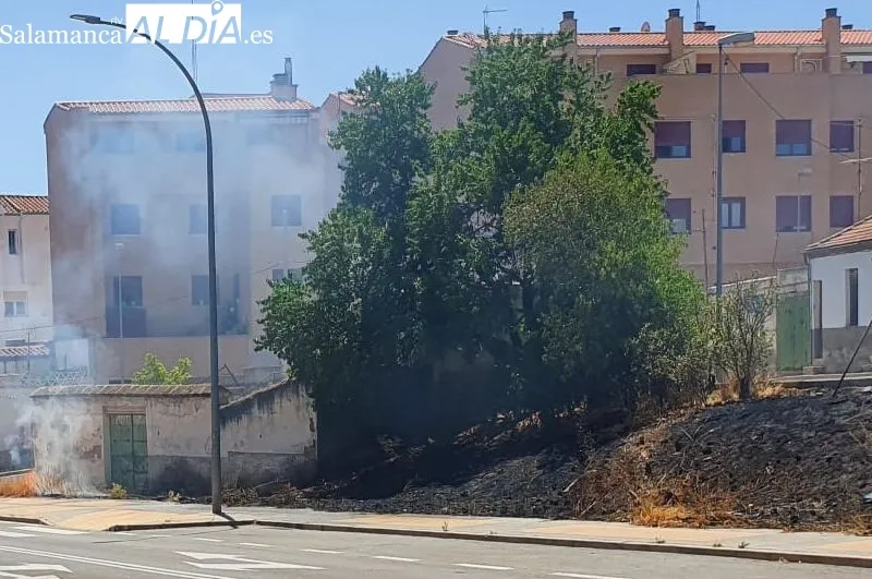 Efectos de este pequeño incendio de rastrojos junto a calle Río Pisuerga, en el barrio de Capuchinos