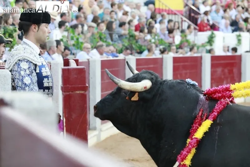Trade de toros en Guijuelo
