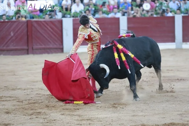 Trade de toros en Guijuelo