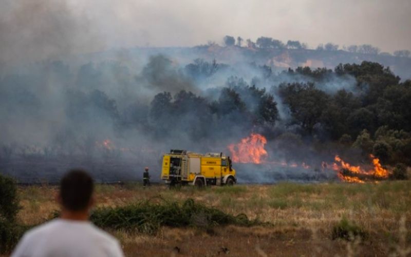 Foto de bomberos trabajando en el incendio de Losacio hace unos días | EP