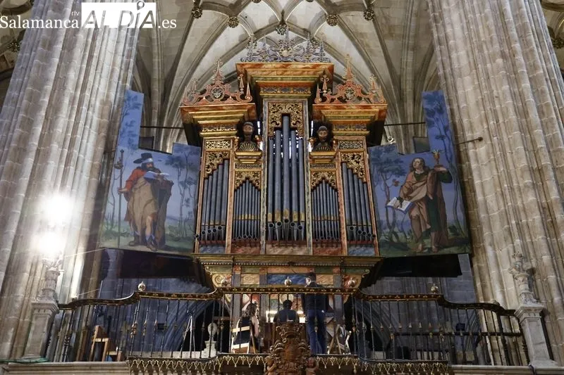 Concierto del organista Samuel Maíllo en la Catedral | Fotos: David Sañudo