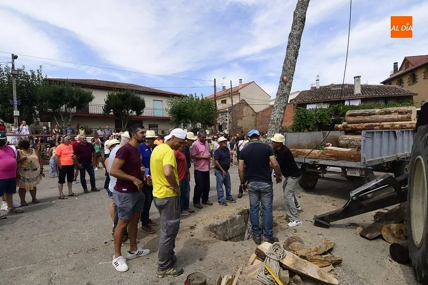 robleda izado roble
