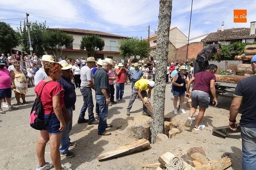 robleda izado roble
