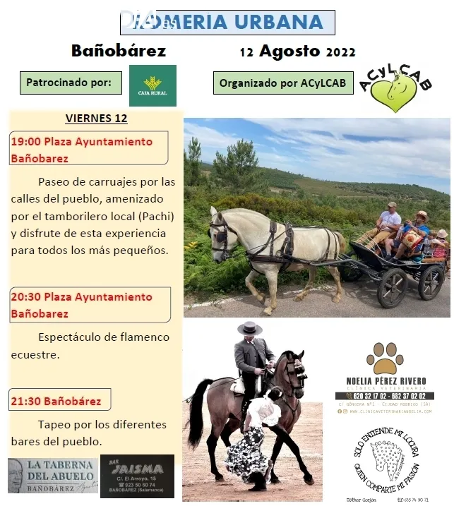 Foto 8 - Arranca el Verano Cultural en Ba&ntilde;ob&aacute;rez con divertidos juegos de madera 