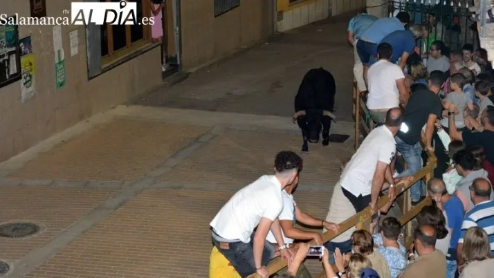 Las &uacute;ltimas miradas, sonidos y curiosidades del Carnaval del Toro 2024 | Imagen 11