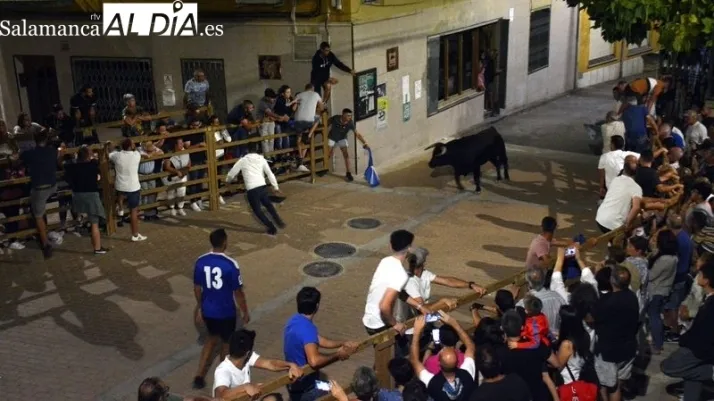 CLASIFICACIONES | Unionistas, a 2 de playoff; el Salamanca UDS, a 3; el Perfumer&iacute;as Avenida, quinto... y m&aacute;s | Imagen 1