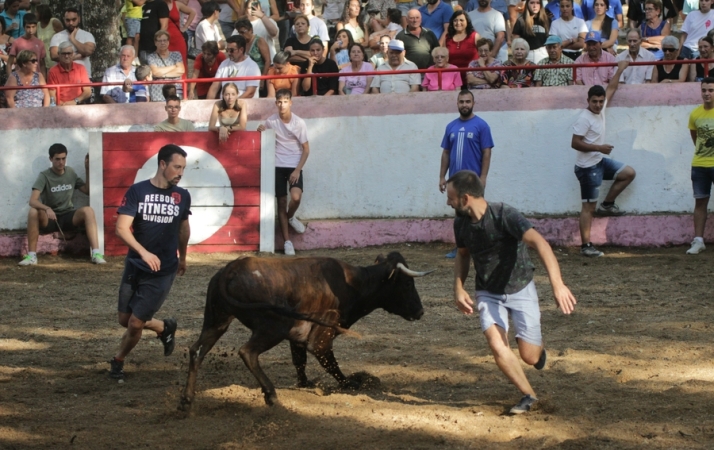 Villasrubias completa sus fiestas con otra animada capea en la plaza de toros