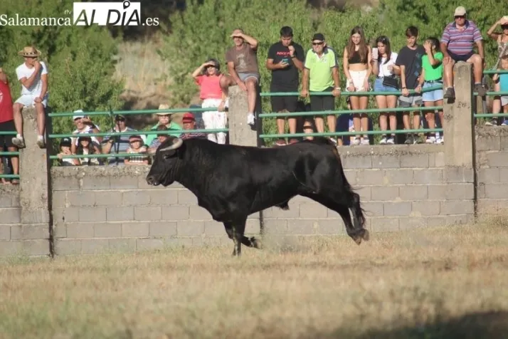 Descubre en Sardón de los Frailes ‘Los Secretos del Embalse’ en la IV Marcha de Senderismo | Imagen 1