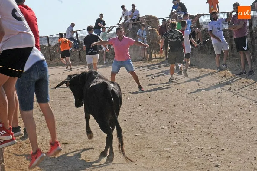 Foto 7 - Saelices disfruta de una tarde taurina de lo m&aacute;s entretenida