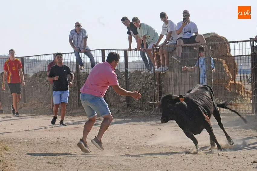 Foto 8 - Saelices disfruta de una tarde taurina de lo m&aacute;s entretenida