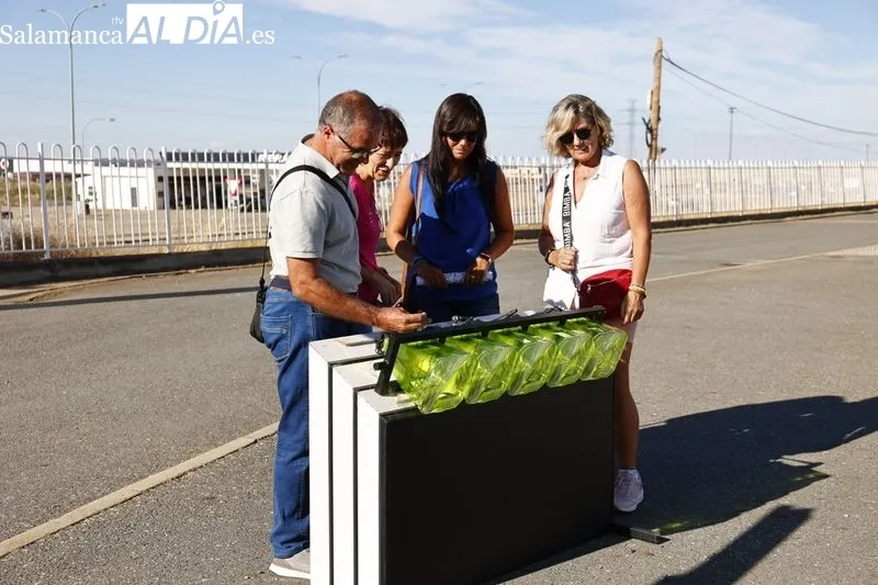 Foto 4 - Ahorra, gestiona y optimiza energ&iacute;a con Agropal Ganadera