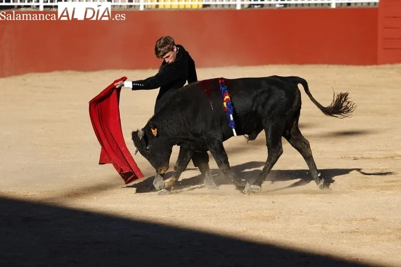Primera de las citas taurinas en Salamaq, este viernes