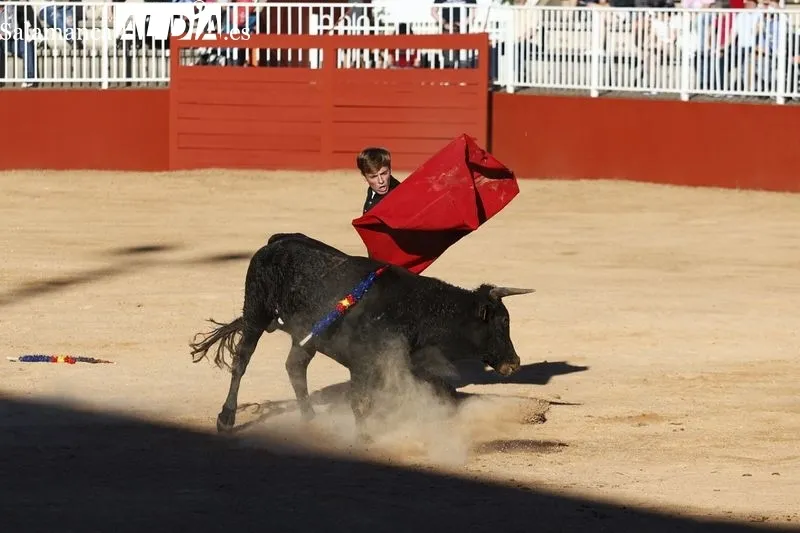 Primera de las citas taurinas en Salamaq, este viernes