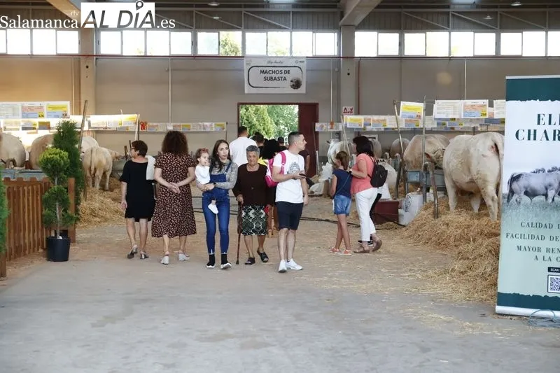 Numerosas personas han visitado este sábado Salamaq
