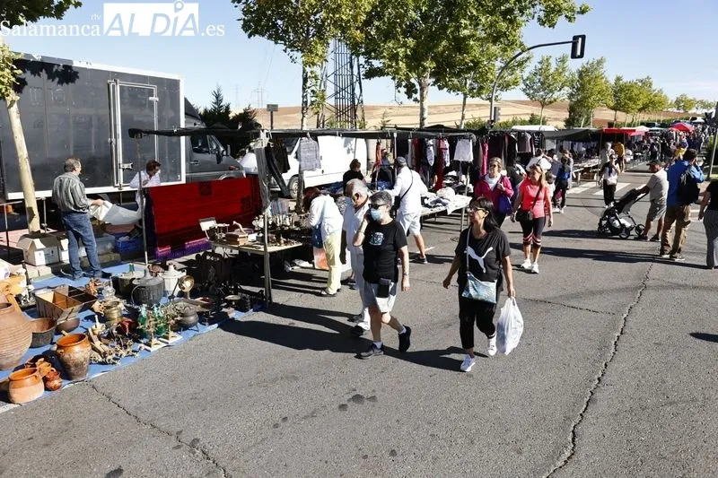Imágenes del Rastro este domingo