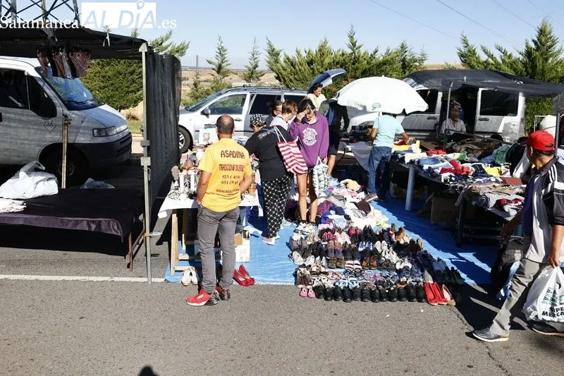 Imágenes del Rastro este domingo