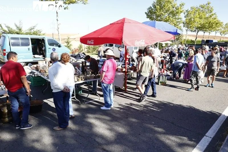 Imágenes del Rastro este domingo