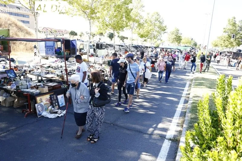 Imágenes del Rastro este domingo
