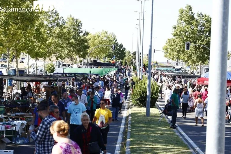 Imágenes del Rastro este domingo