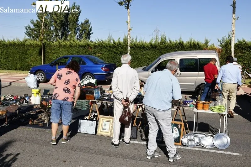 Imágenes del Rastro este domingo