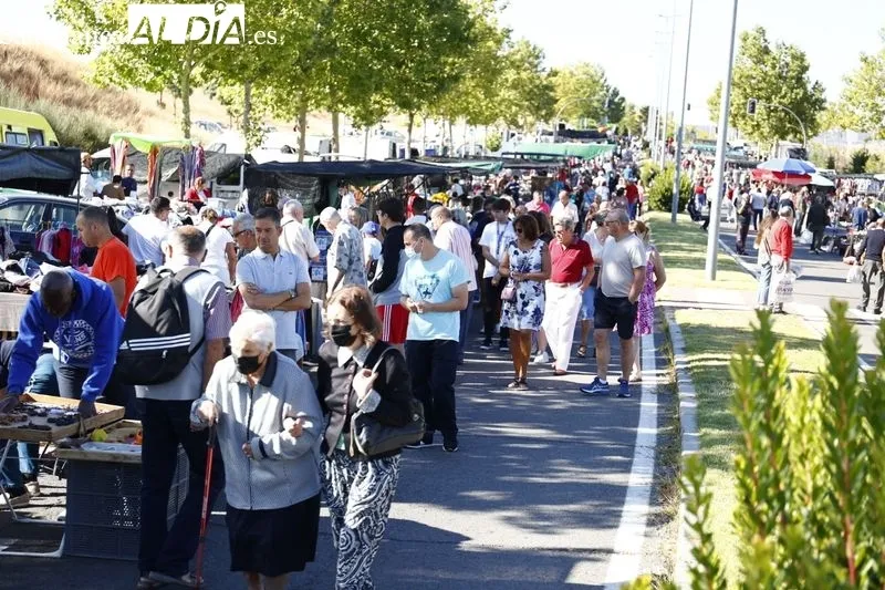 Imágenes del Rastro este domingo