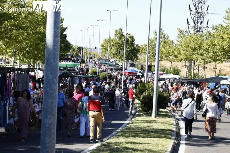 Imágenes del Rastro este domingo