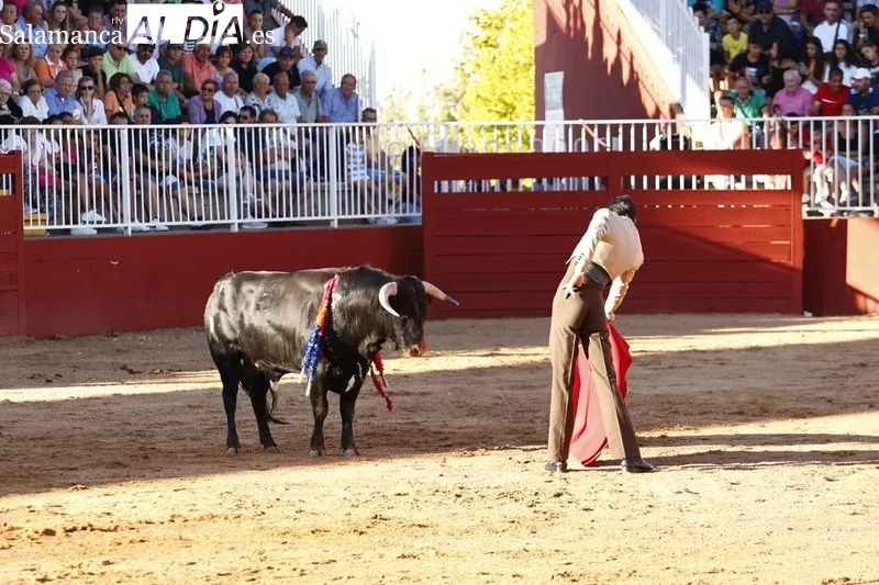 Certamen en clase práctica de la Escuela de Tauromaquia este domingo en Salamaq