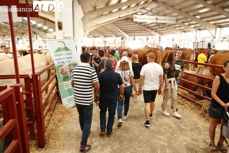 Ambiente de este domingo en Salamaq
