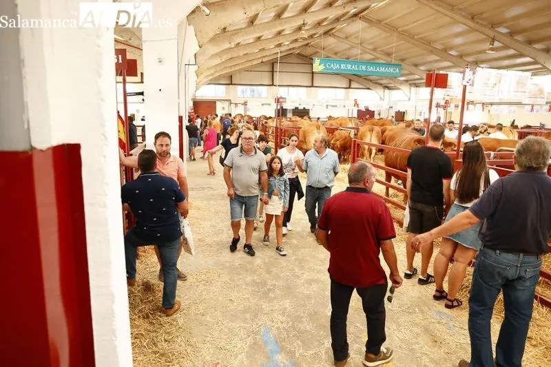 Ambiente de este domingo en Salamaq
