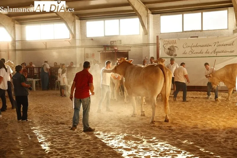 Ambiente de este domingo en Salamaq