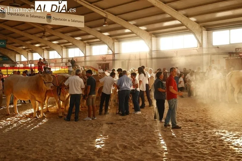 Ambiente de este domingo en Salamaq