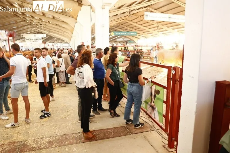Ambiente de este domingo en Salamaq