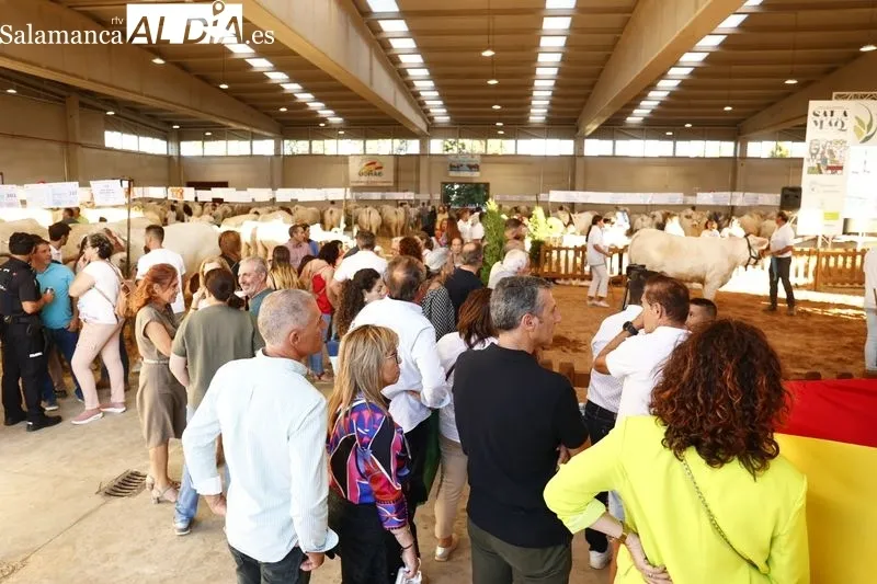 Ambiente de este domingo en Salamaq