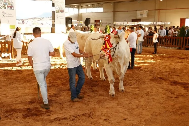 Ambiente de este domingo en Salamaq