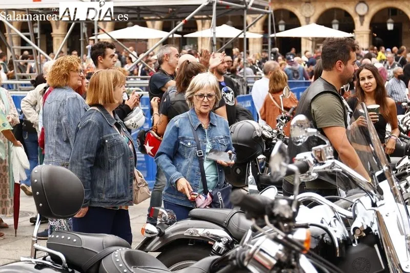 Mloteros y aficionados este jueves en la Plaza Mayor de Salamanca