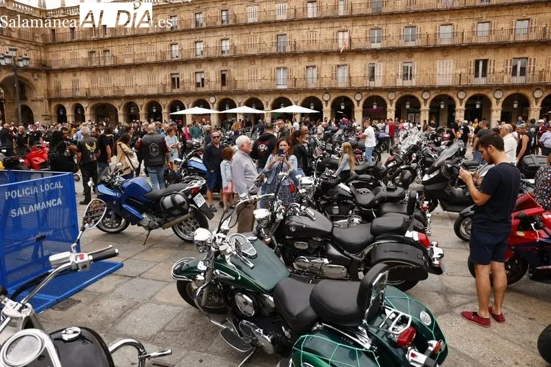 Mloteros y aficionados este jueves en la Plaza Mayor de Salamanca