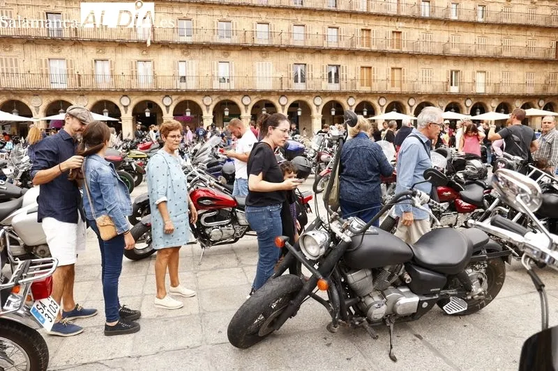 Mloteros y aficionados este jueves en la Plaza Mayor de Salamanca