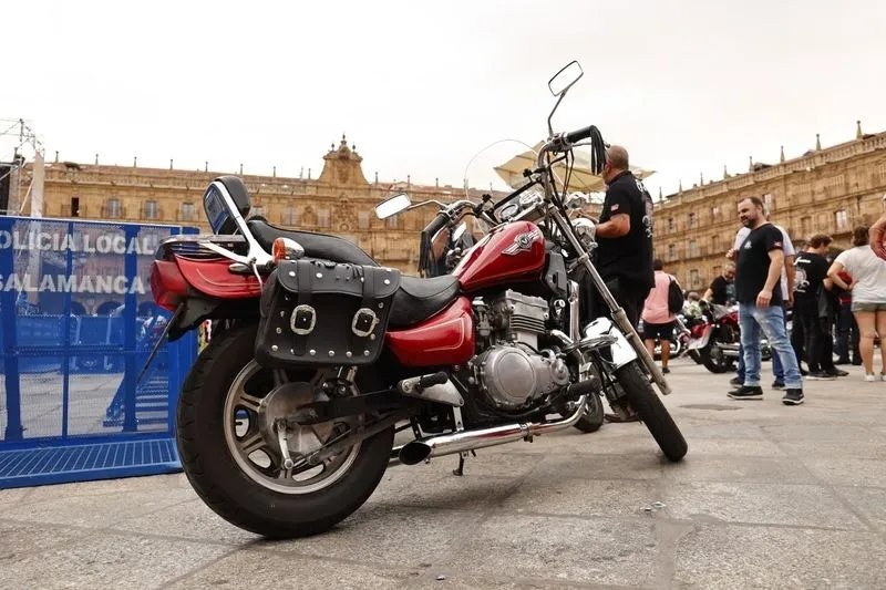 Mloteros y aficionados este jueves en la Plaza Mayor de Salamanca