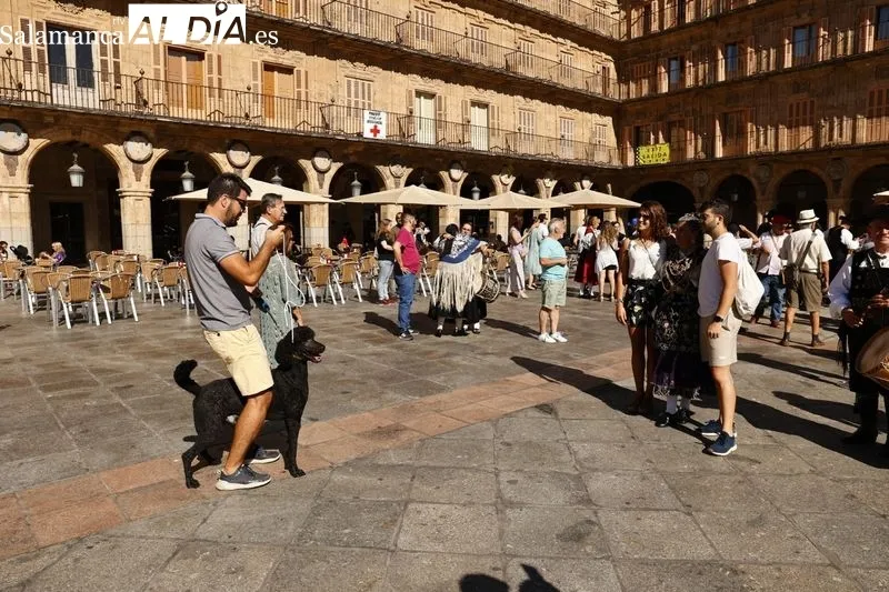 XXXIV Día del Tamborilero en Salamanca