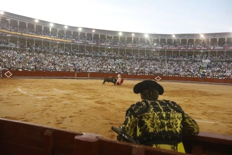 Foto 5 - &iexcl;Bendita afici&oacute;n!