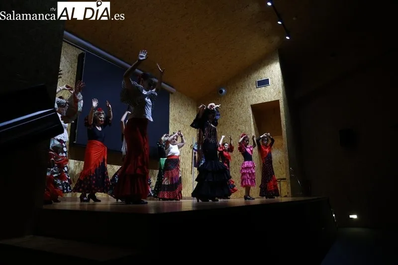 Inauguración de las fiestas de AVESAL